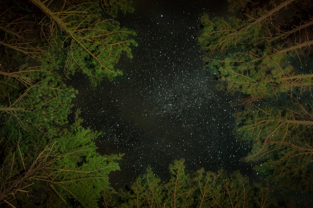 Night sky while camping