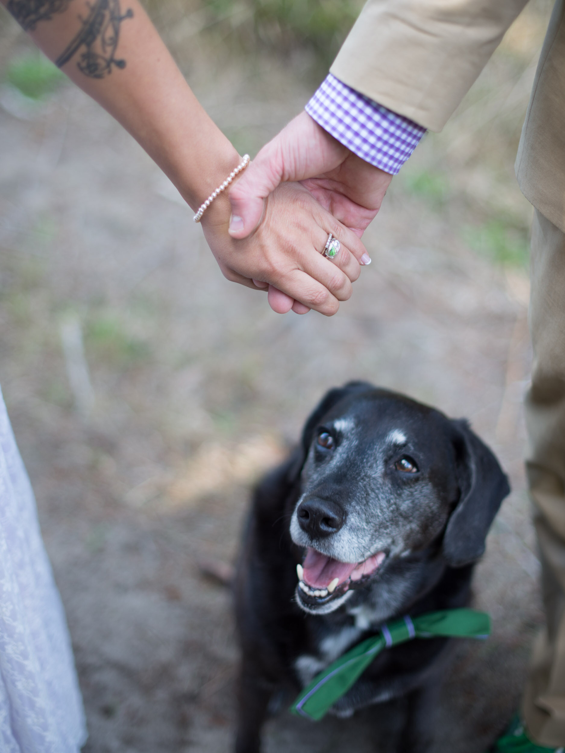 dog-friendly-wedding-photographer