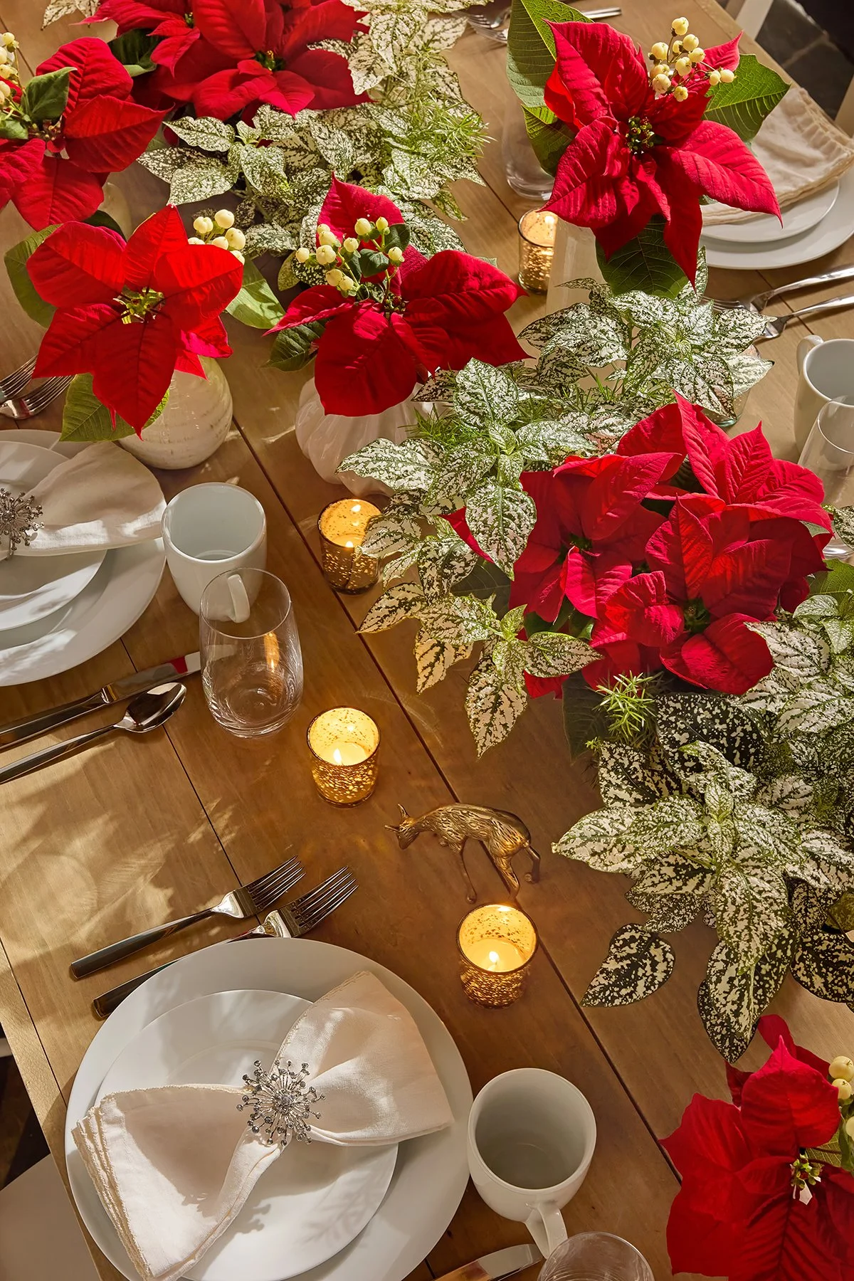 23_FY25_DecoratingwithPoinsettias_HowTo_L.jpg