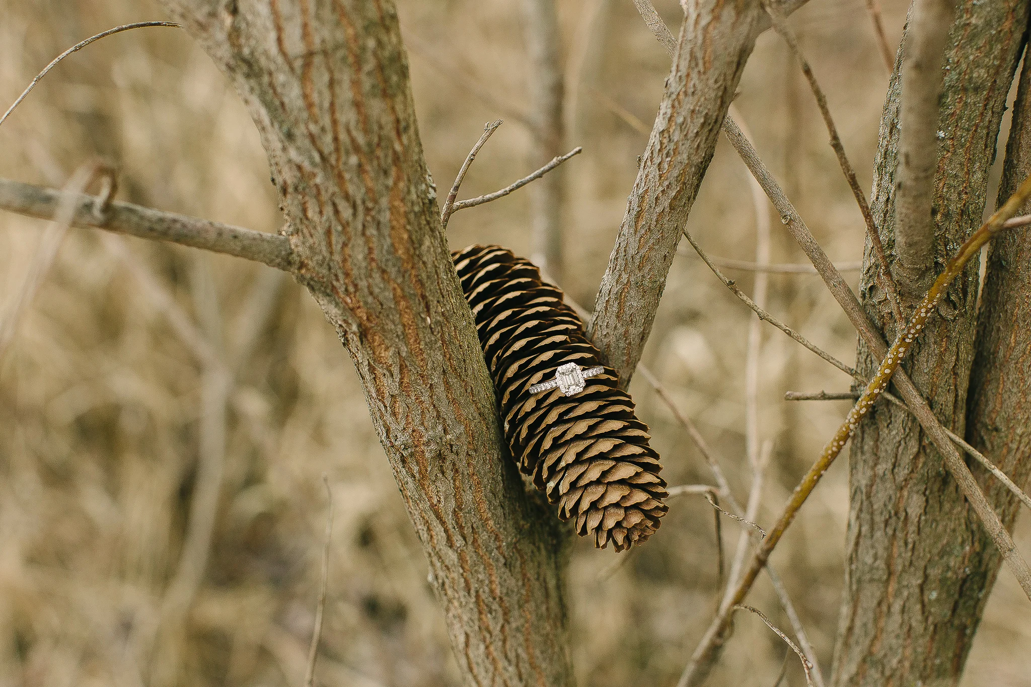 Karen Ann Photography (C)-9854.jpg