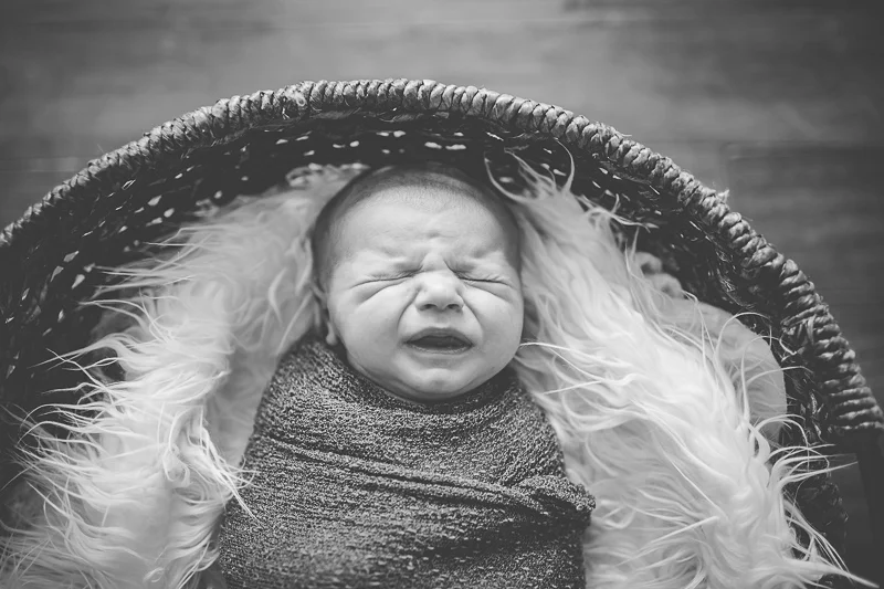 Green Bay WI Newborn Photography | William