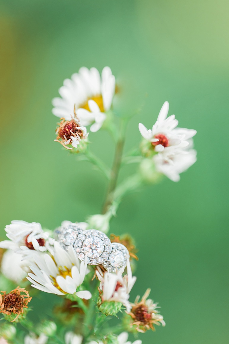 Milwaukee Photographers, Karen Ann Photography, Green Bay Engagement Photography, Green Bay Botanical Gardens Photos