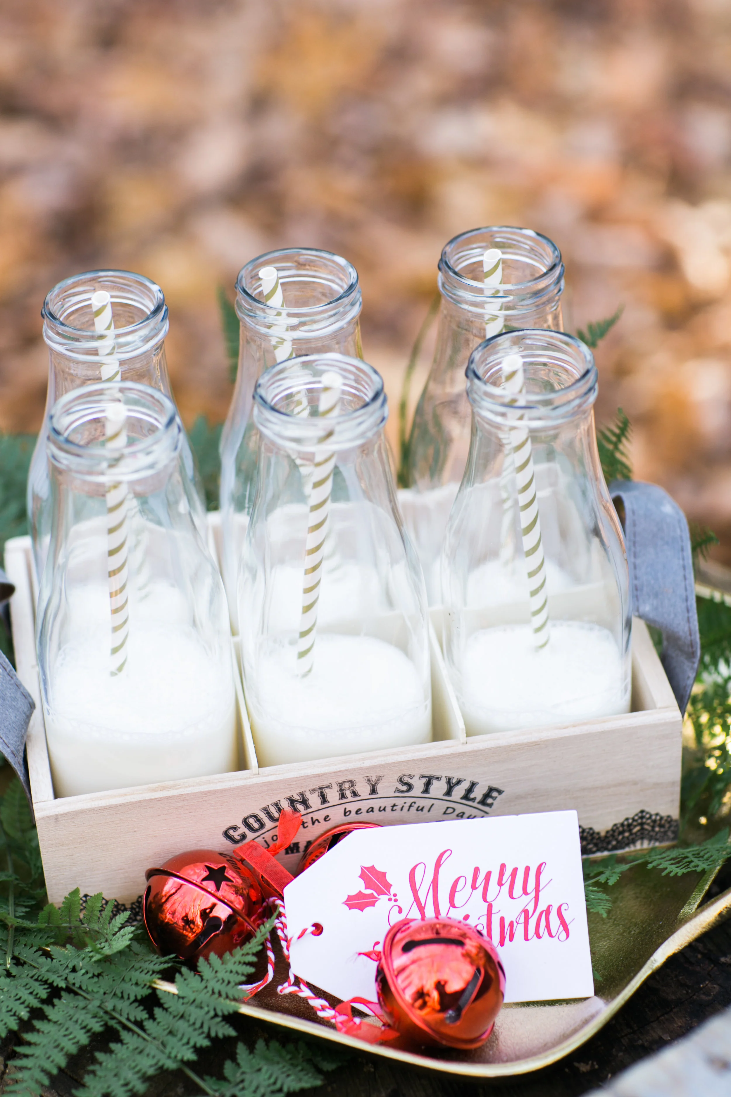 Green Bay Wisconsin Christmas Mini Sessions