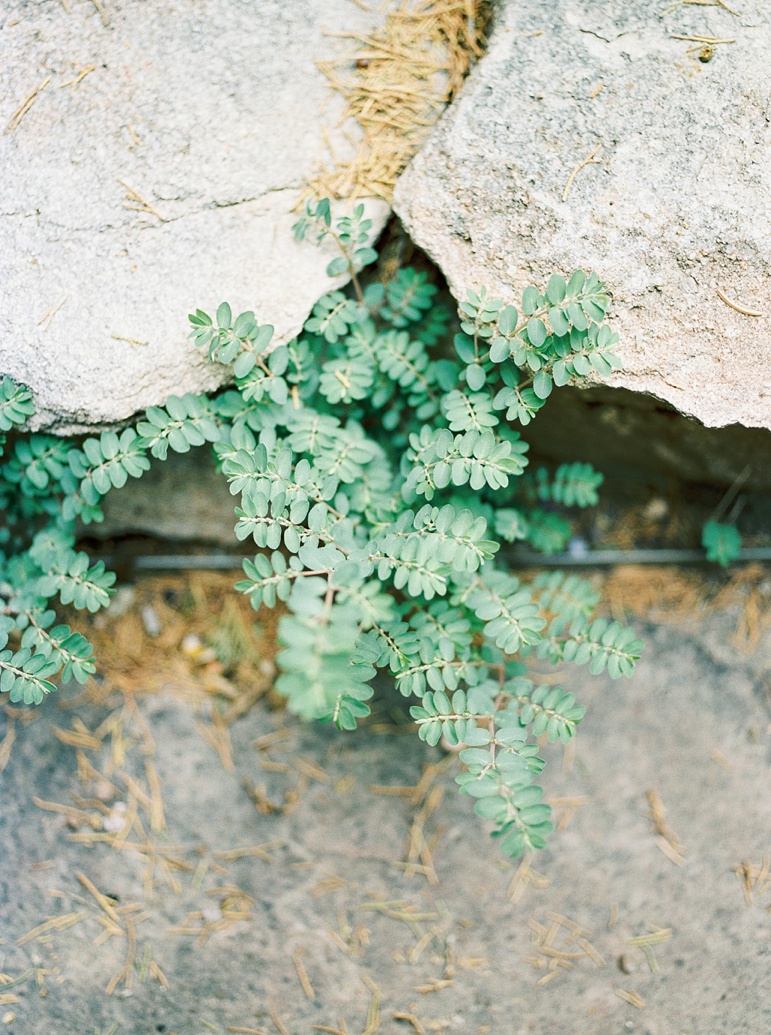 Denver Family Photos, Colorado Wedding Photographer