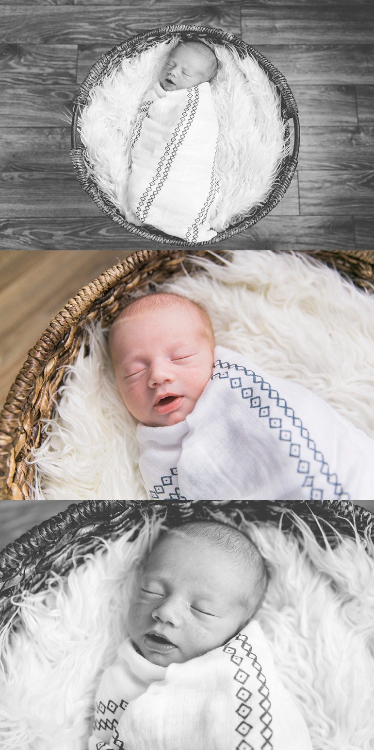 Milwaukee Newborn Photos, Wisconsin Lifestyle Family Session