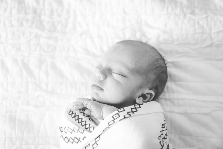 Milwaukee Newborn Photos, Wisconsin Lifestyle Family Session