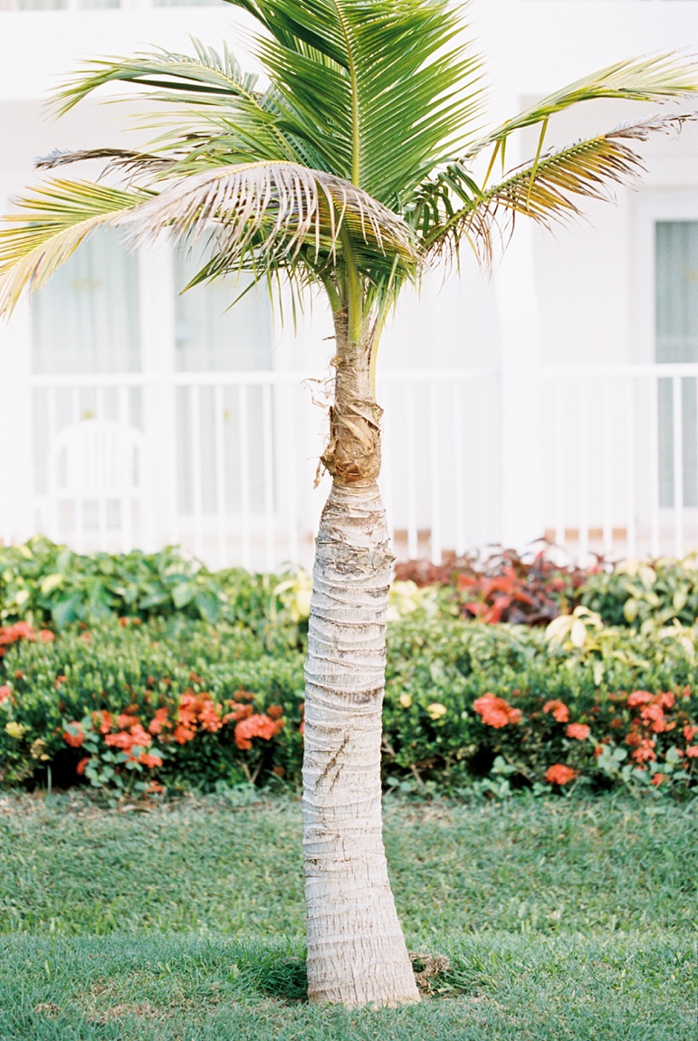 The Riu Resort Montego Bay Jamaica Destination Wedding