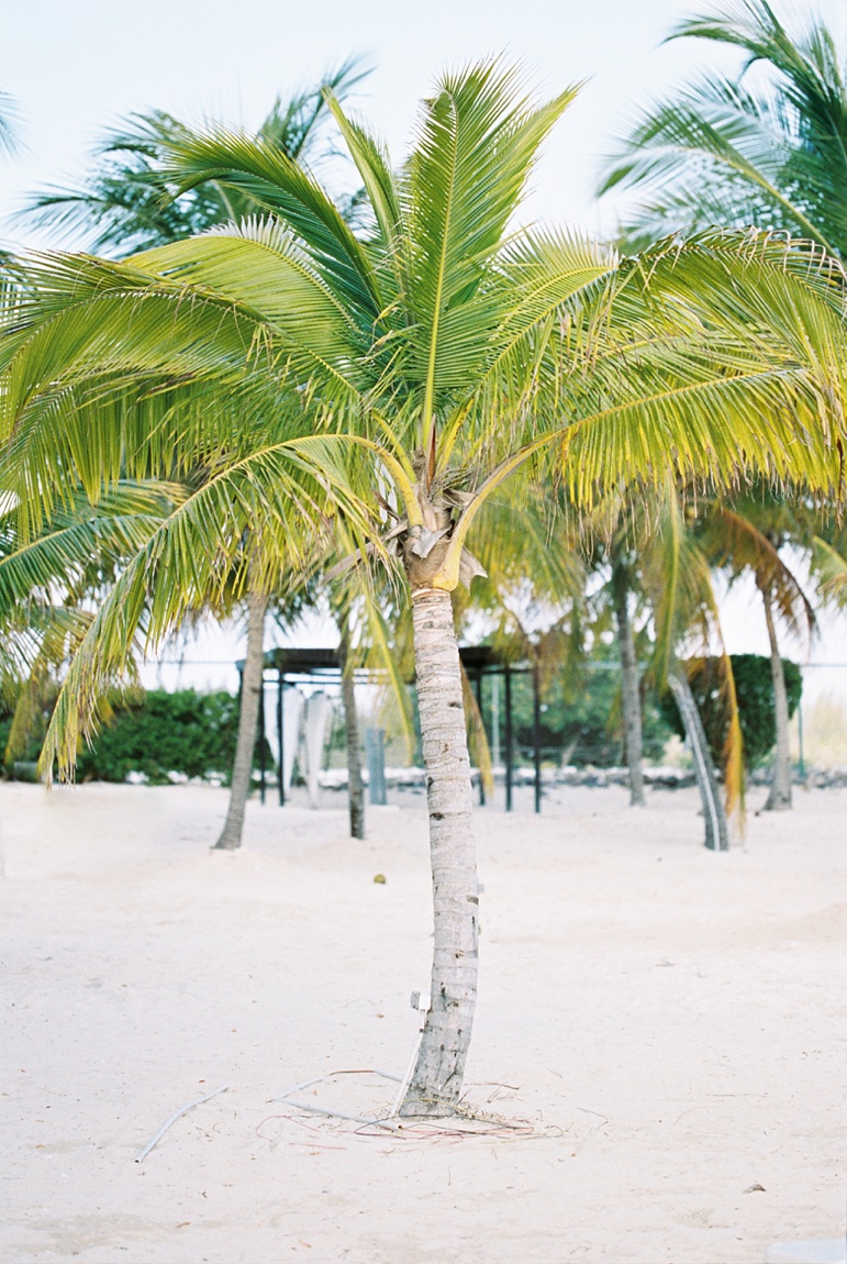 The Riu Resort Montego Bay Jamaica Destination Wedding