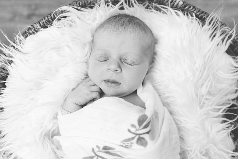 Green Bay Newborn Photos, Wisconsin Family Photographers