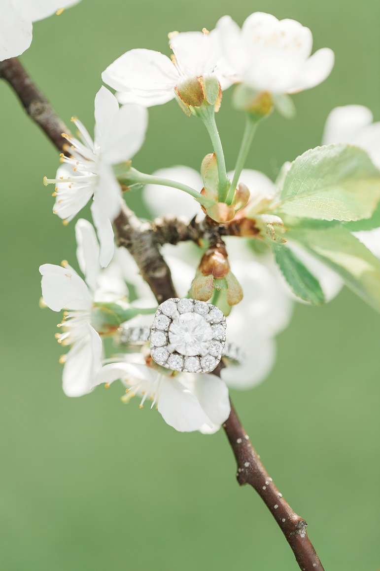 Sheboygan Wisconsin Apple Blossom and Whistling Straits Golf Course Engagement Session