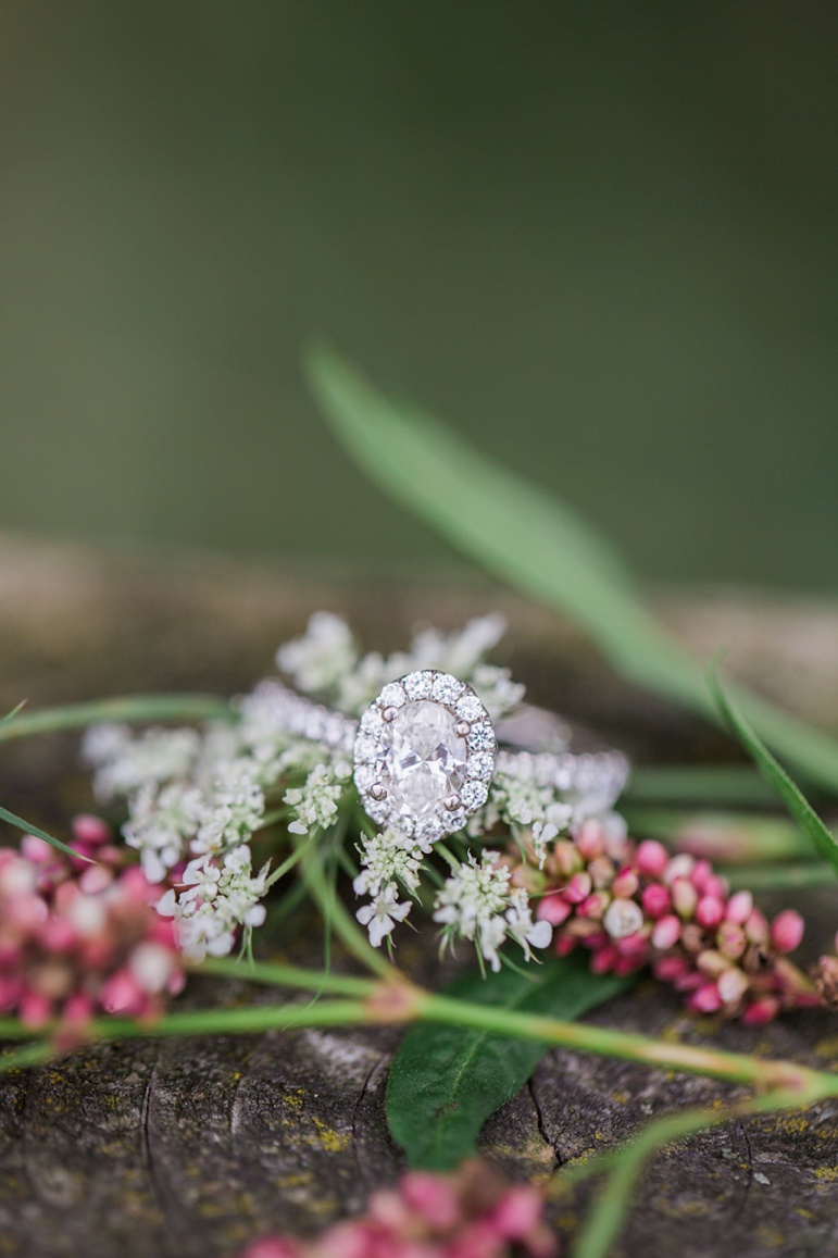 Pope Farm Conservancy Madison WI Engagement Photos