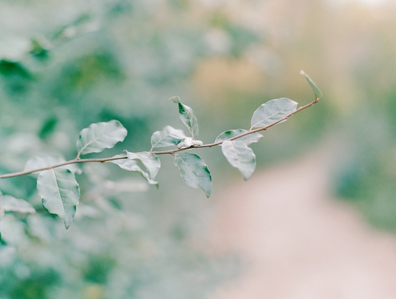 Green Bay Fall Engagement Photos, Green Bay Wedding Photographers