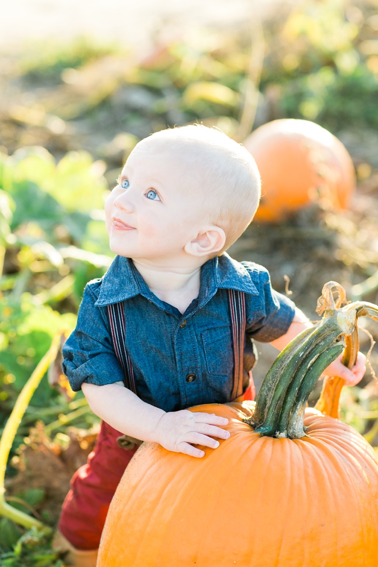 Wisconsin Pumpkin Patch Family Photos