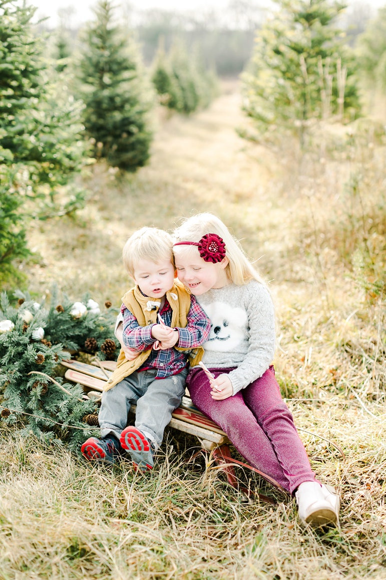 Wisconsin Holiday Mini Session 