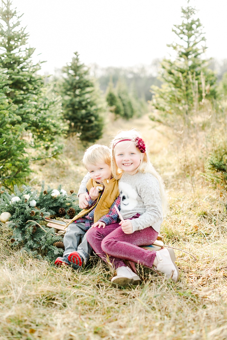 Wisconsin Holiday Mini Session 