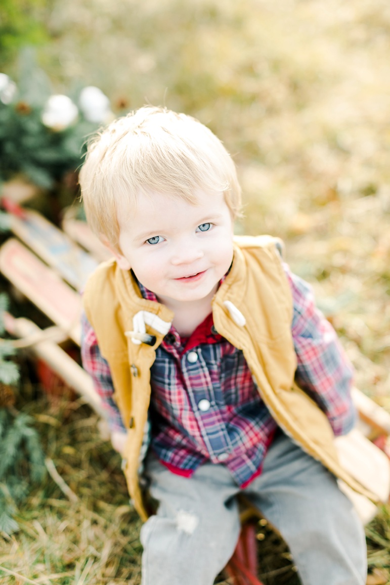 Wisconsin Holiday Mini Session 