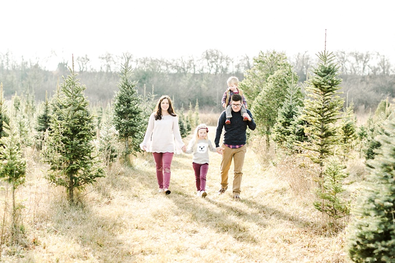 Wisconsin Holiday Mini Session 