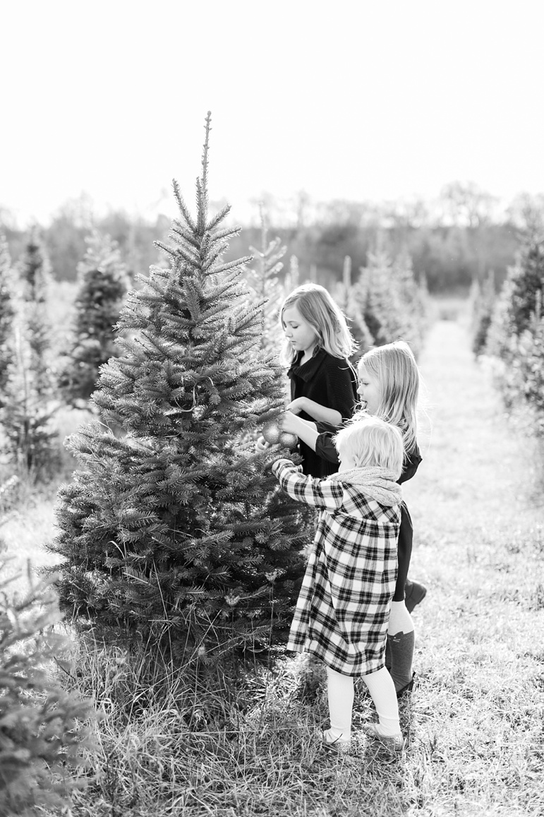 Tree Farm Family Photos Green Bay WI 