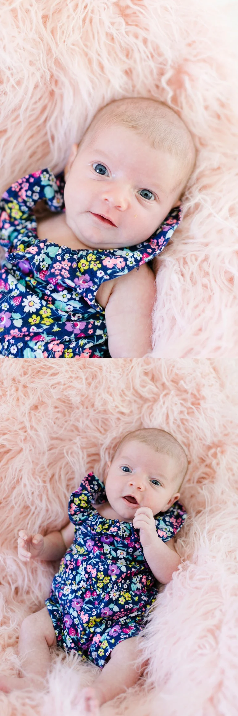 Manitowoc Family Photographers