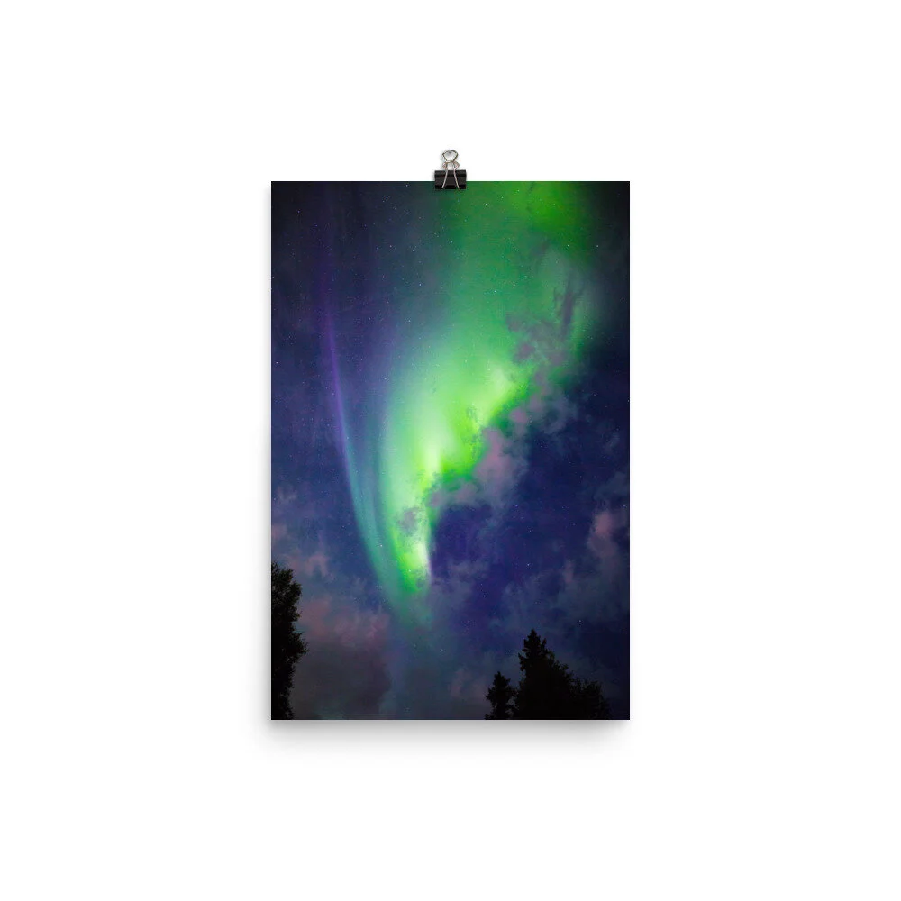premium-luster-photo-paper-poster-(in)-12x18-5fcd44e968a08.jpg