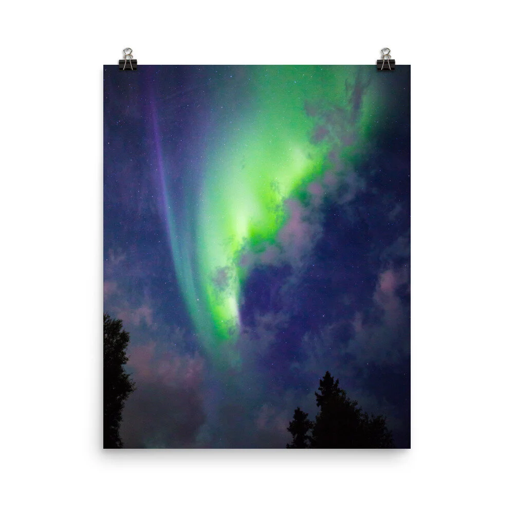 premium-luster-photo-paper-poster-(in)-16x20-5fcd44e968a6b.jpg