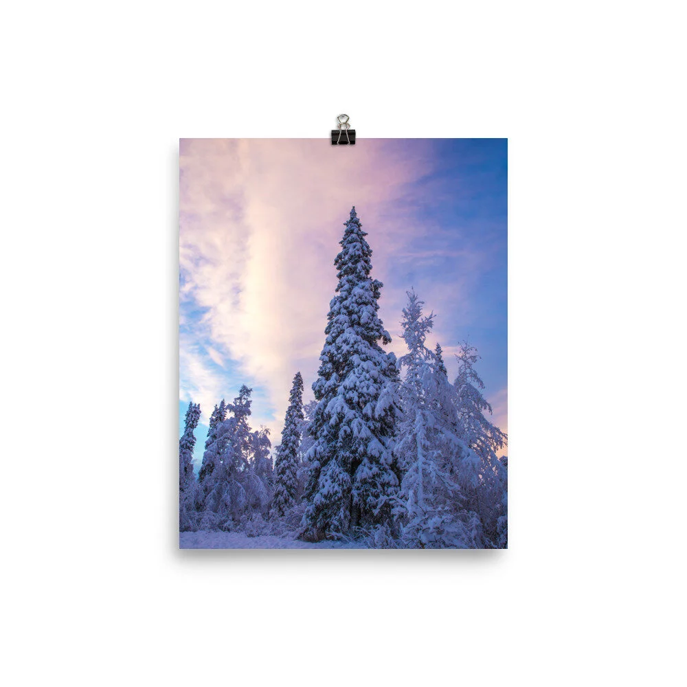 premium-luster-photo-paper-poster-(in)-8x10-5fcd45adbc447.jpg