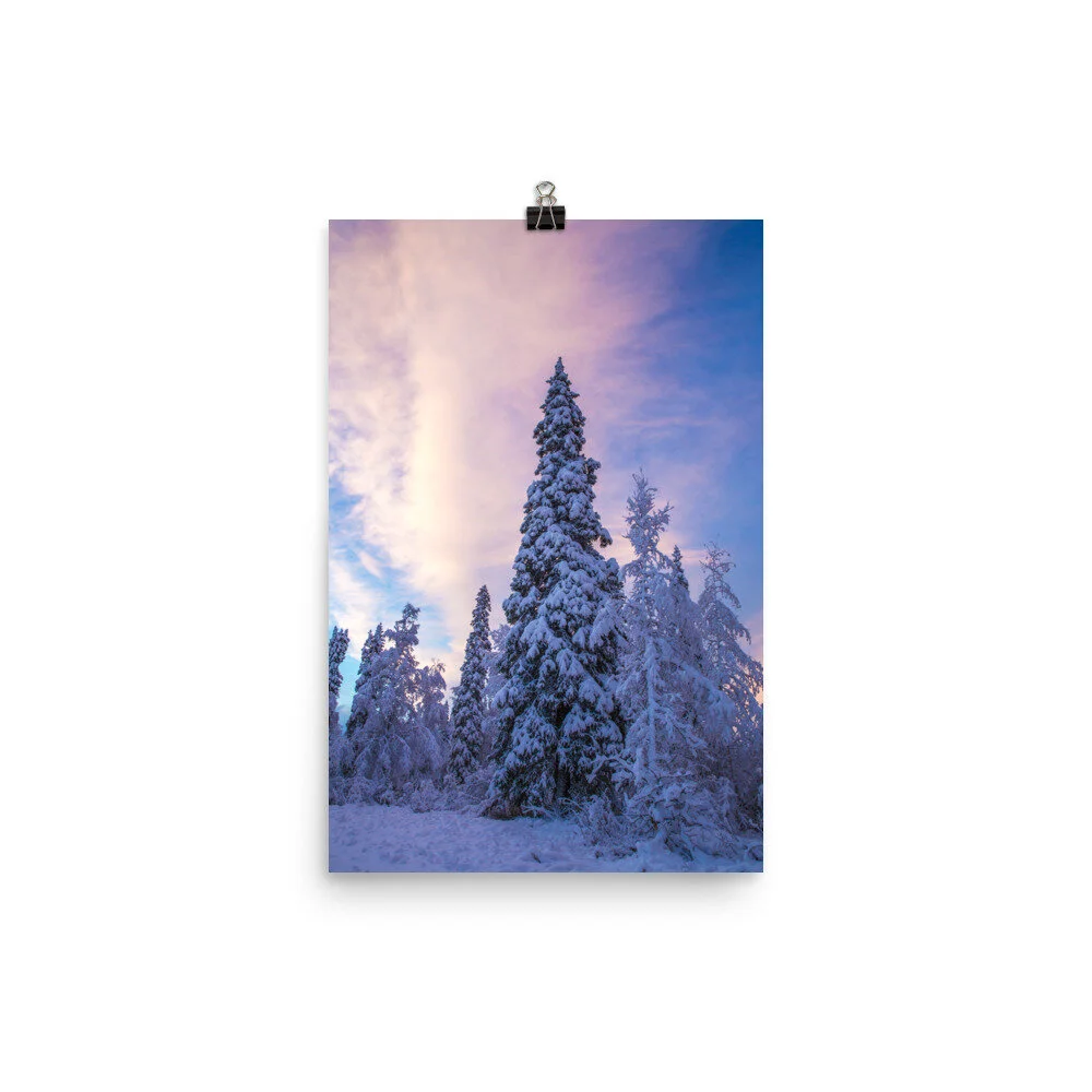 premium-luster-photo-paper-poster-(in)-12x18-5fcd45adbc672.jpg