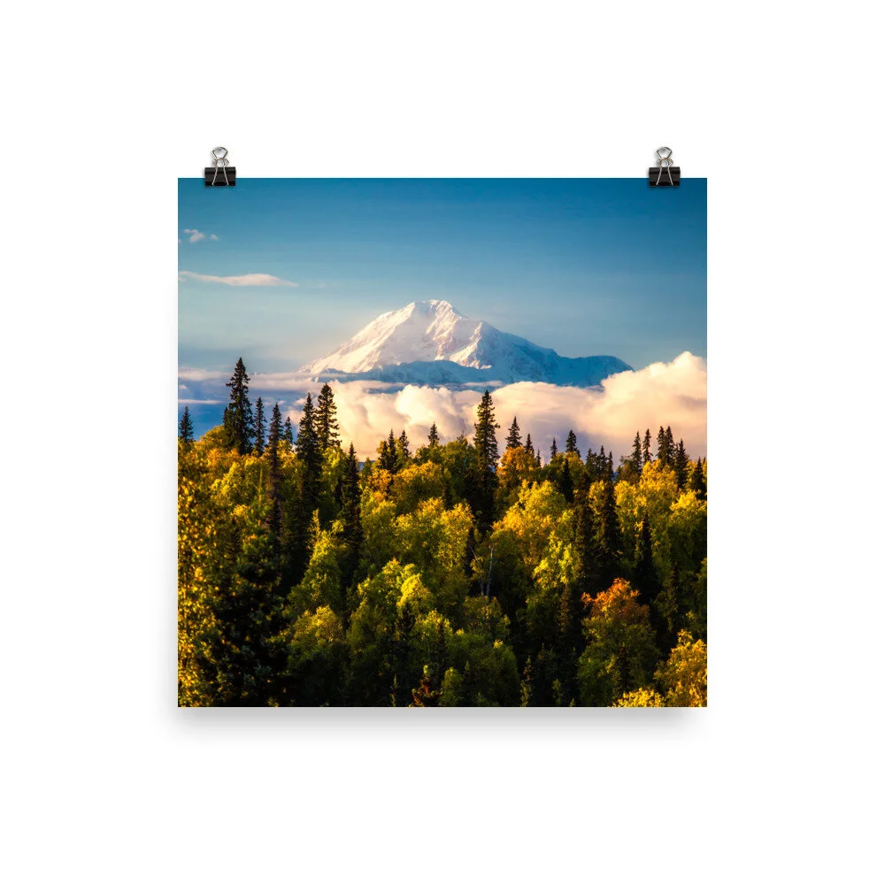 premium-luster-photo-paper-poster-(in)-18x18-5fcd4803e37b9.jpg