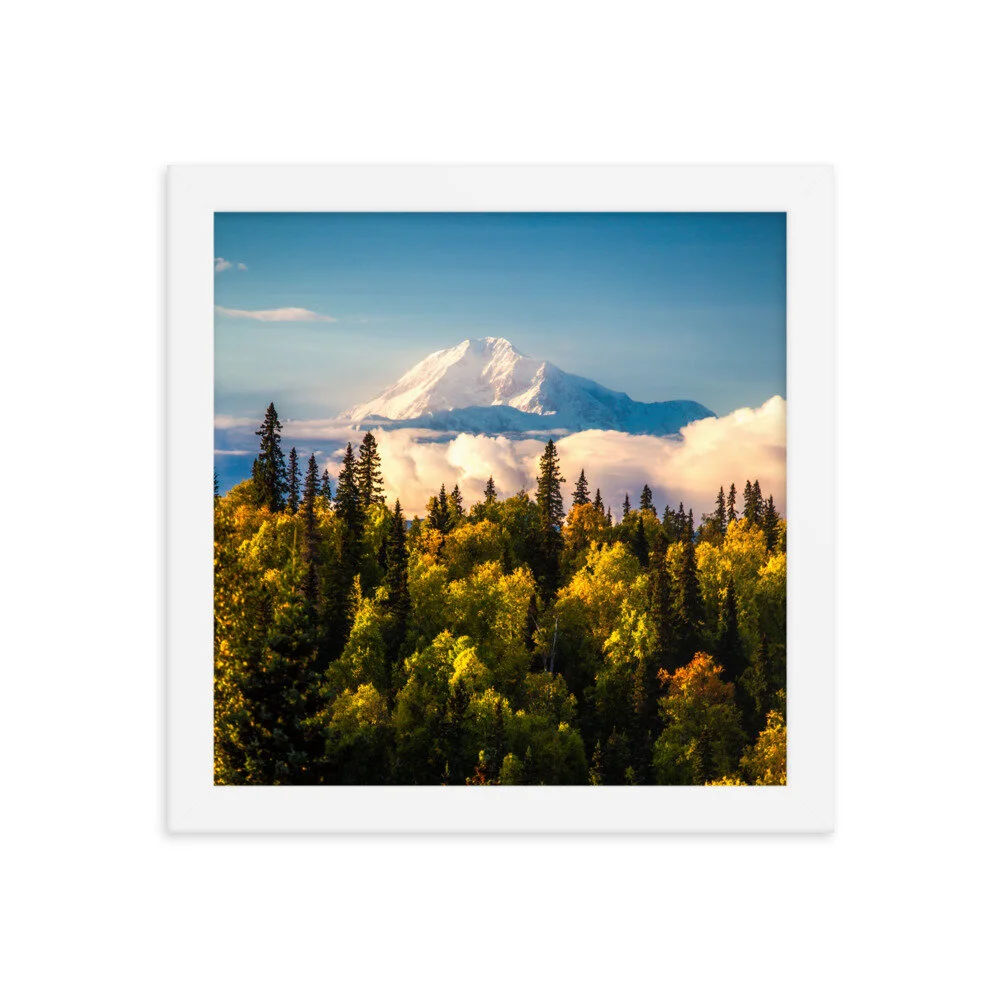premium-luster-photo-paper-framed-poster-(in)-white-10x10-5fcd4d0a986fb.jpg