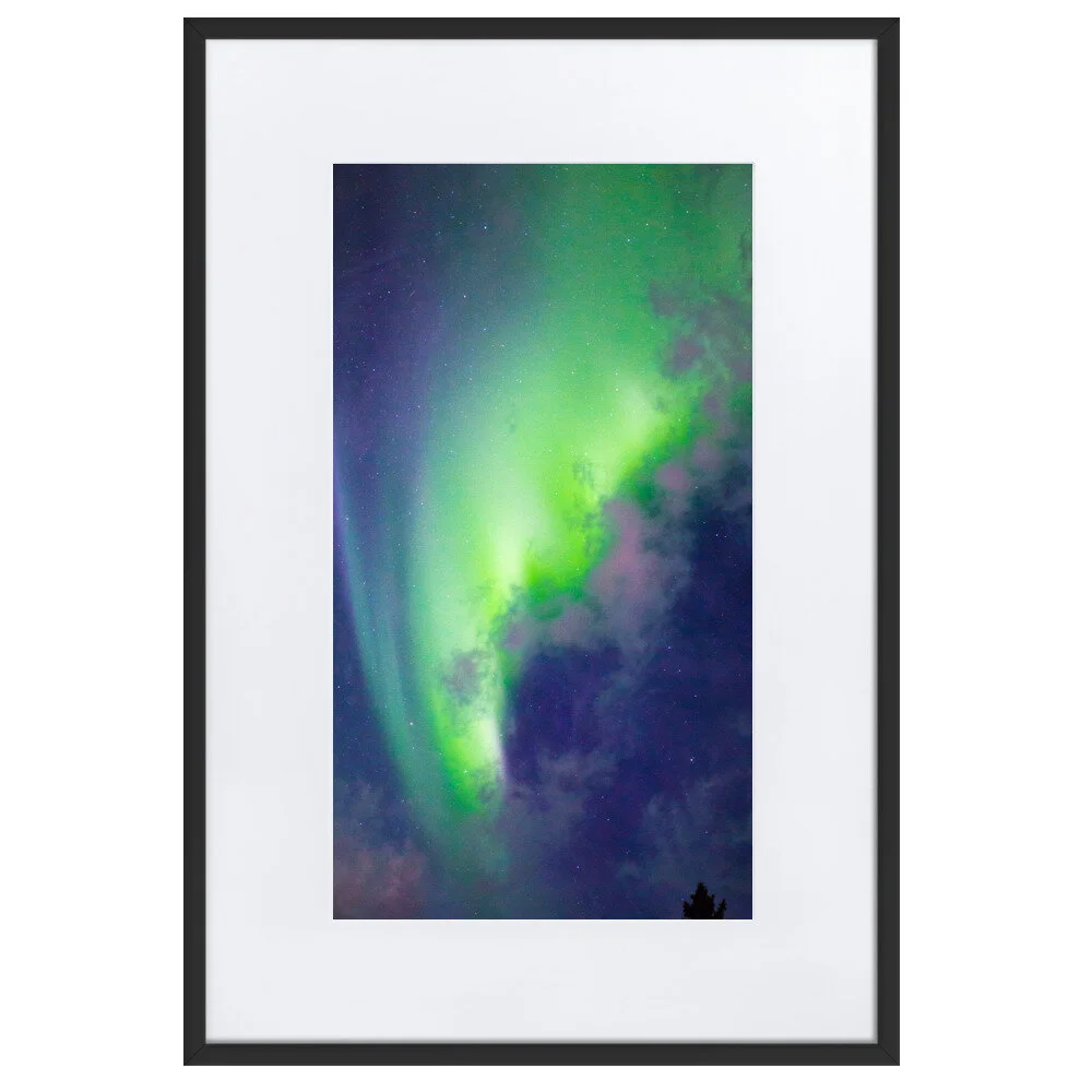 matte-paper-framed-poster-with-mat-(cm)-black-61x91-cm-5fcd4db1231ad.jpg