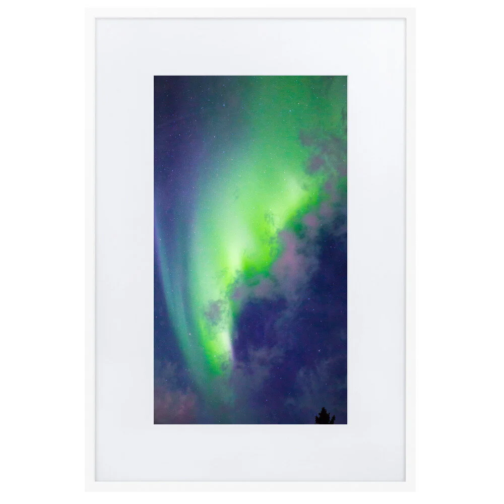 matte-paper-framed-poster-with-mat-(cm)-white-61x91-cm-5fcd4db1233cc.jpg