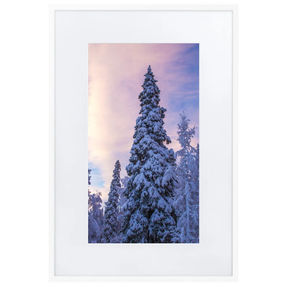matte-paper-framed-poster-with-mat-(cm)-white-61x91-cm-5fcd4e29172aa.jpg