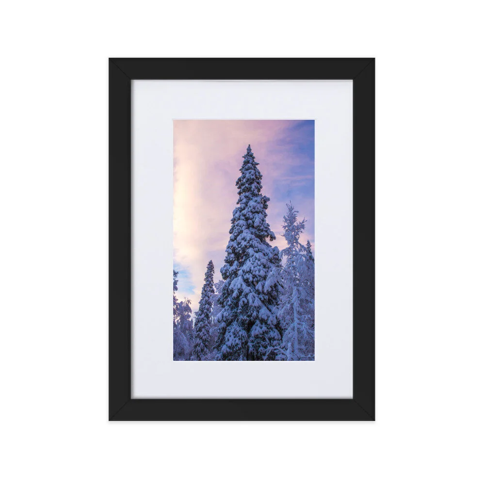 matte-paper-framed-poster-with-mat-(cm)-black-21x30-cm-5fcd4e2917322.jpg