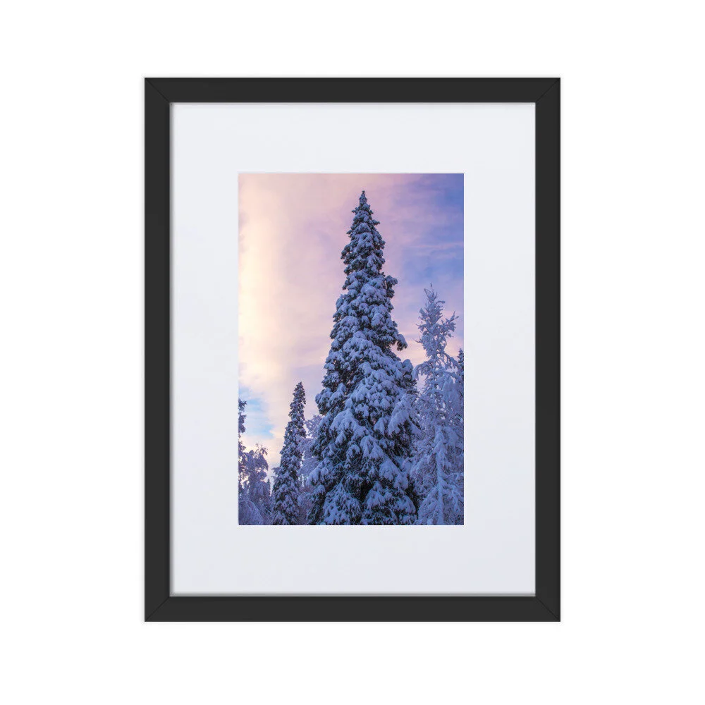 matte-paper-framed-poster-with-mat-(cm)-black-30x40-cm-5fcd4e2917367.jpg