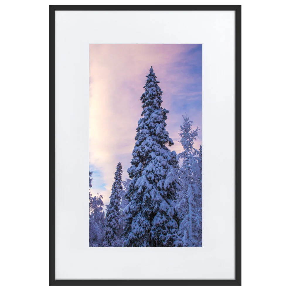 matte-paper-framed-poster-with-mat-(cm)-black-61x91-cm-5fcd4e29173e5.jpg
