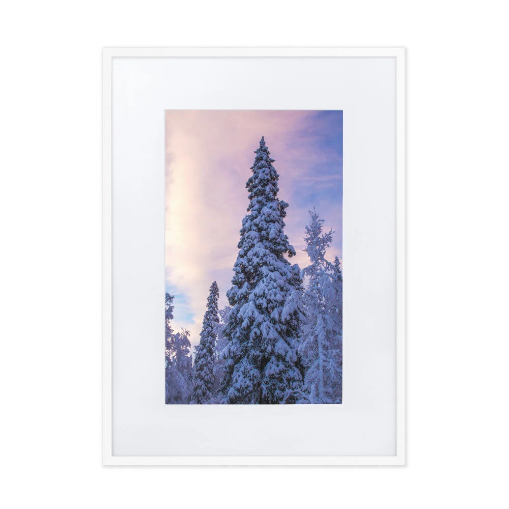matte-paper-framed-poster-with-mat-(cm)-white-50x70-cm-5fcd4e29174a2.jpg