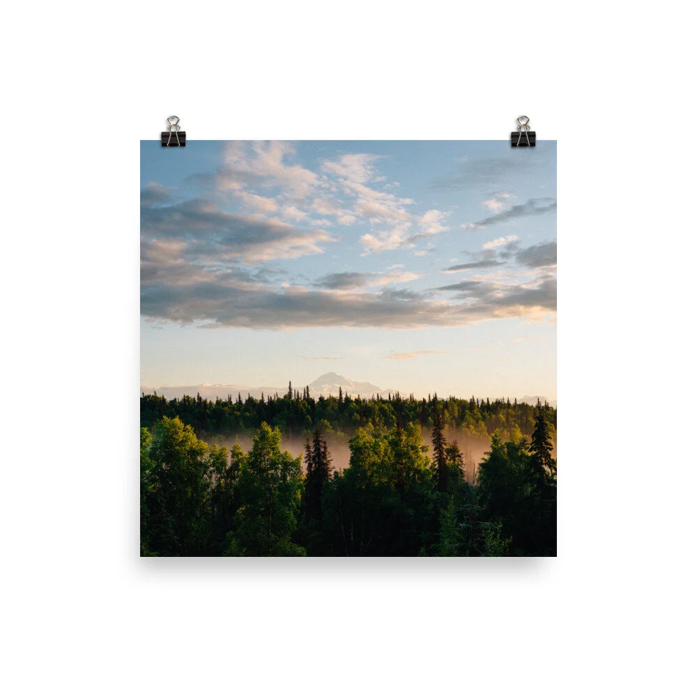 premium-luster-photo-paper-poster-(in)-18x18-5fdbe05e11af5.jpg