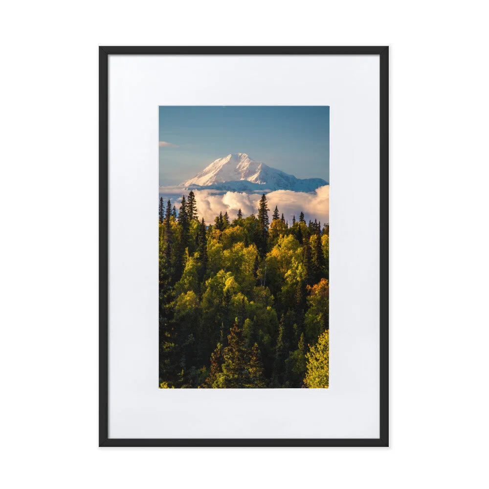 matte-paper-framed-poster-with-mat-(cm)-black-50x70-cm-600650dd35bb3.jpg