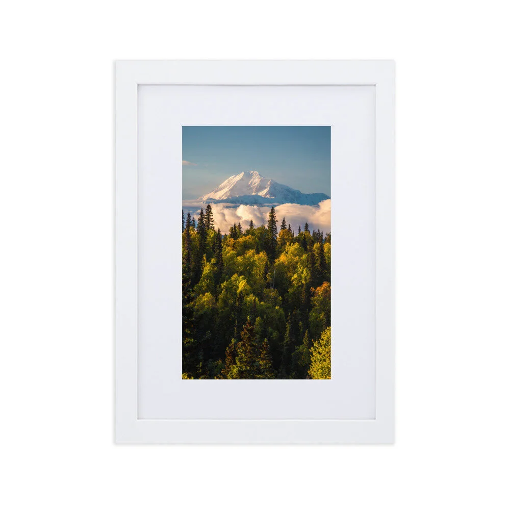 matte-paper-framed-poster-with-mat-(cm)-white-21x30-cm-600650dd35c49.jpg