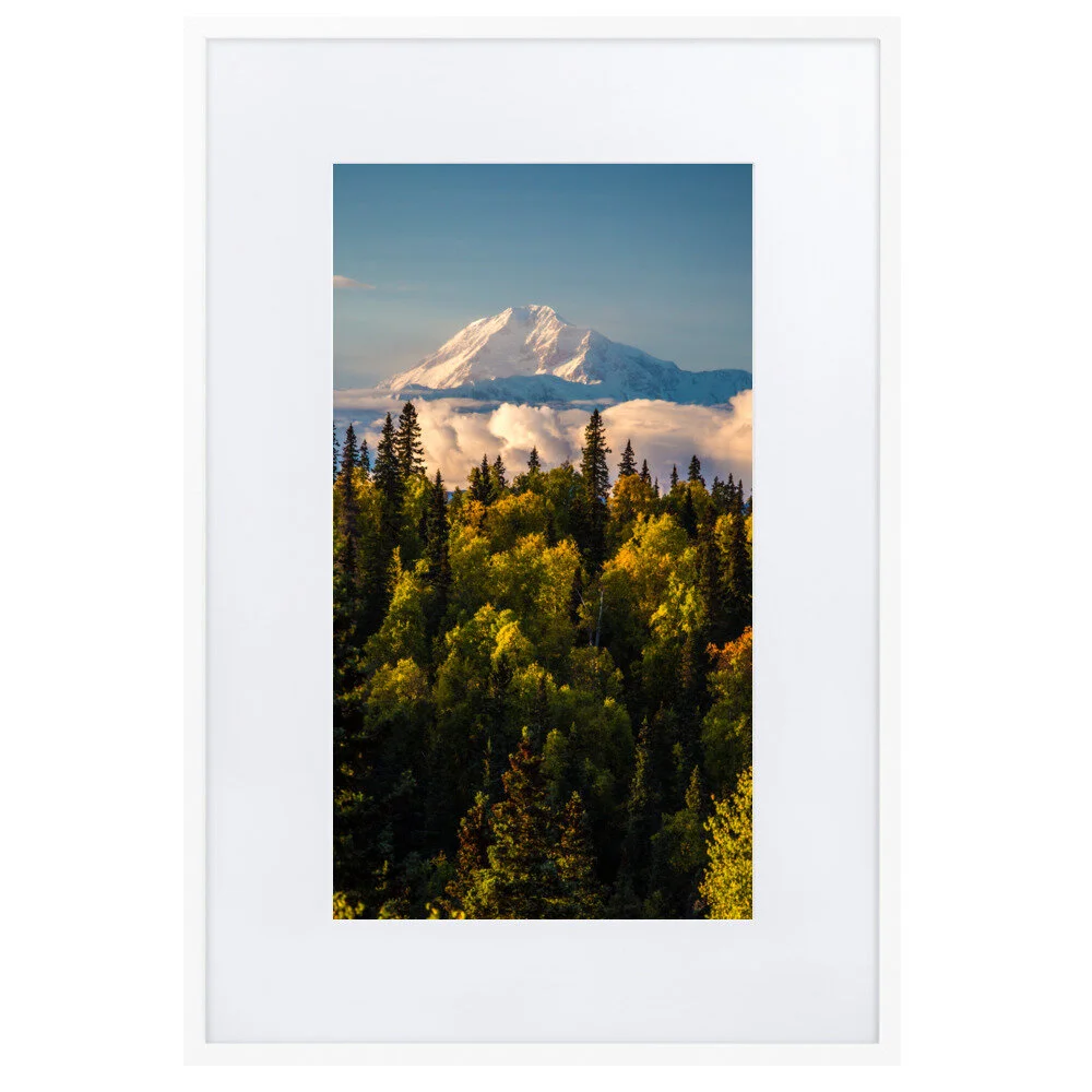 matte-paper-framed-poster-with-mat-(cm)-white-61x91-cm-600650dd35d38.jpg