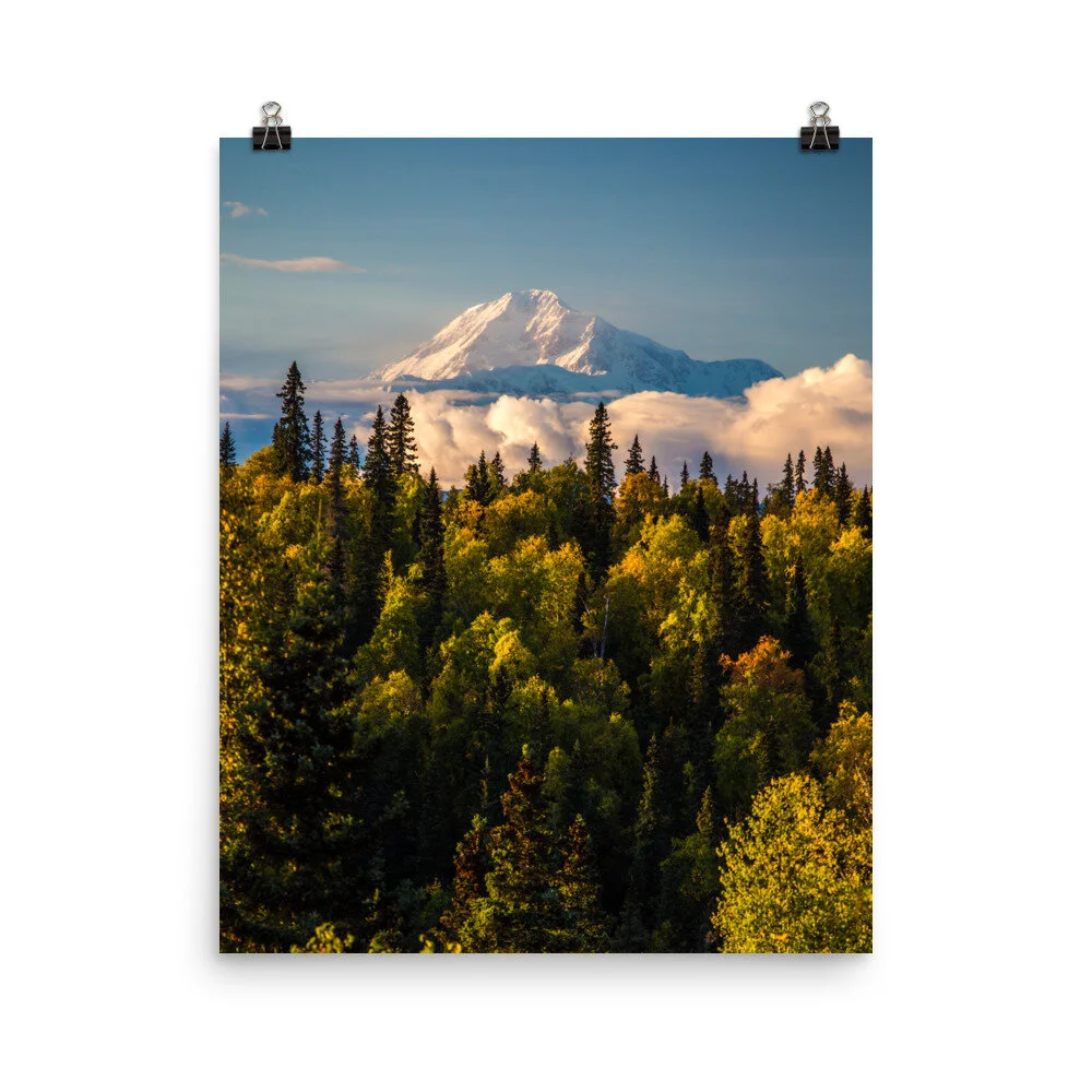 premium-luster-photo-paper-poster-(in)-16x20-600651901be1e.jpg