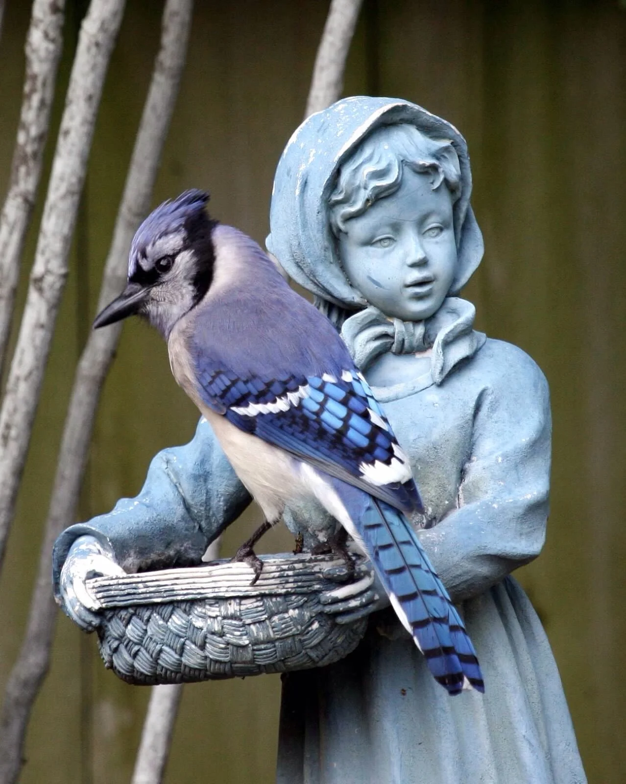 Photographer Jblanke