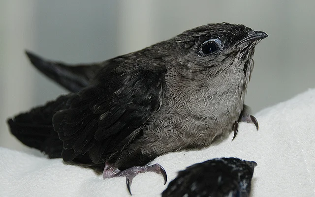 Photographer Glori Berry