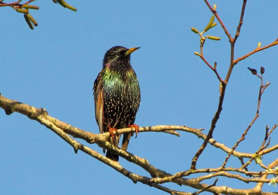    Photographer Andrew Smith   