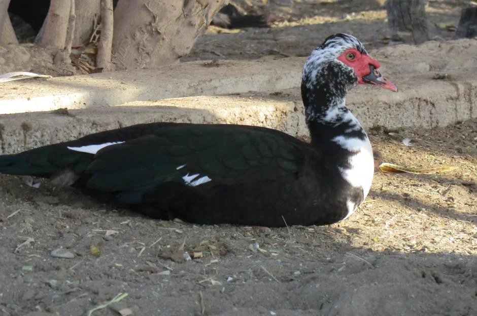    Photographer Hythumm   