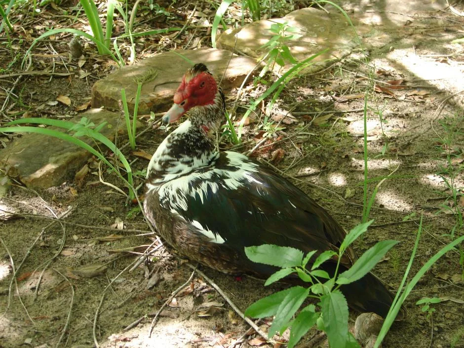    Photographer Smithmott   