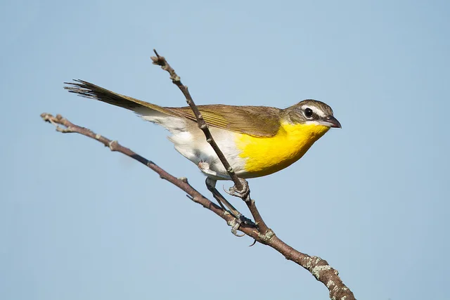    Photographer Christian Goers   