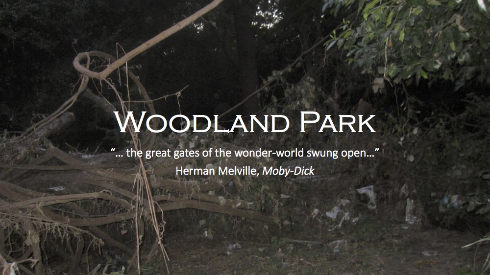 HPB-Woodland Park Cleanup.jpg