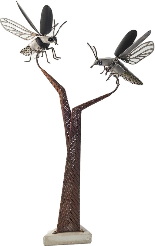 fireflymarquette.jpg