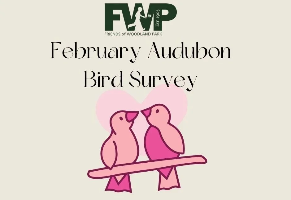 Love is for the Birds! February Bird Survey! 